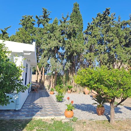 Deja Blue Villa Archangelos  Exterior foto